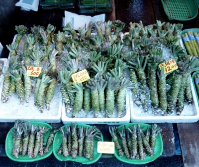 Radici di wasabi al mercato